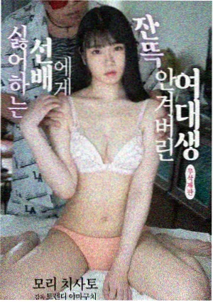 人物档案卡片配图